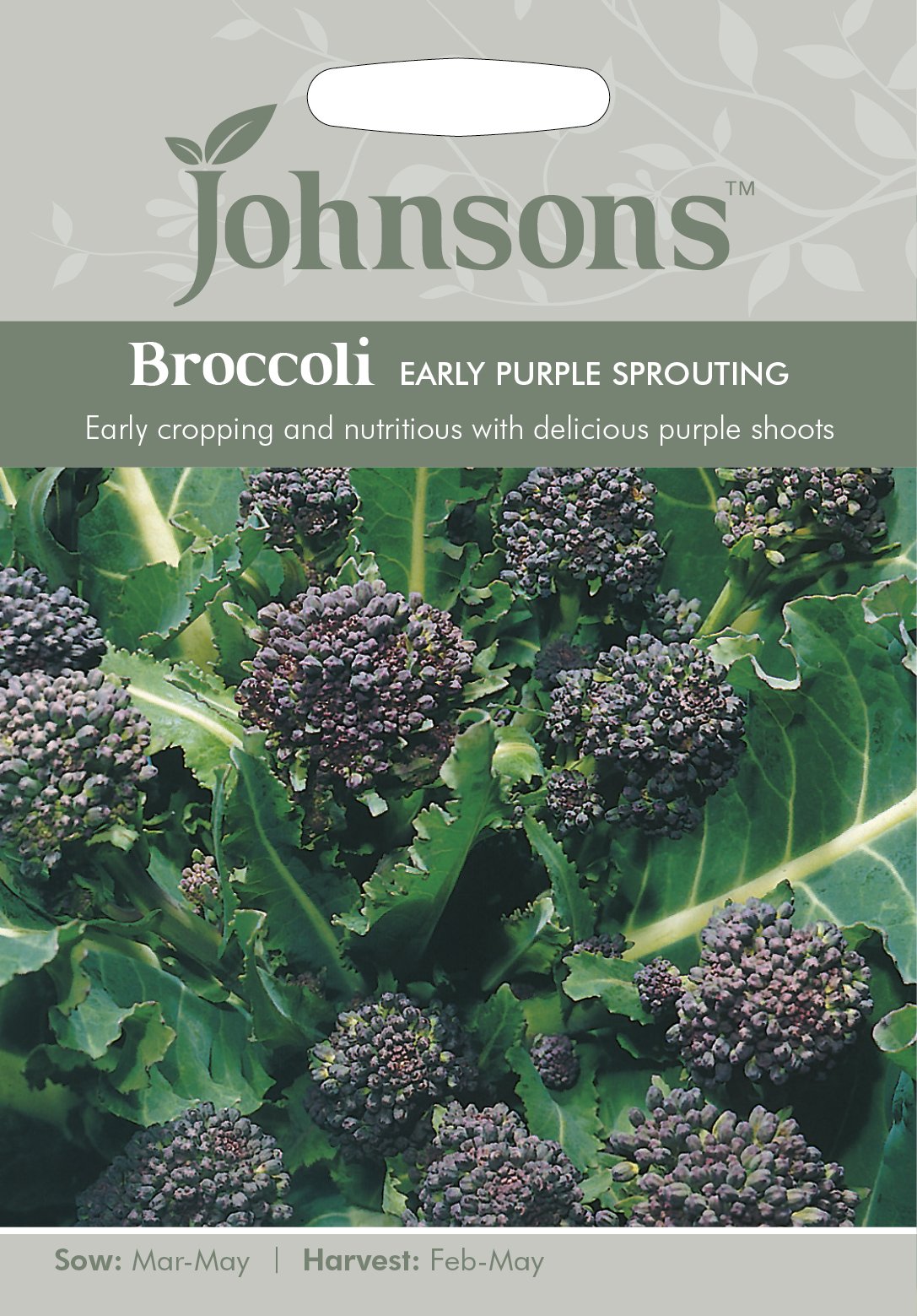 Johnsons 14070 Vegetable Seeds, Broccoli Early Purple Sprouting