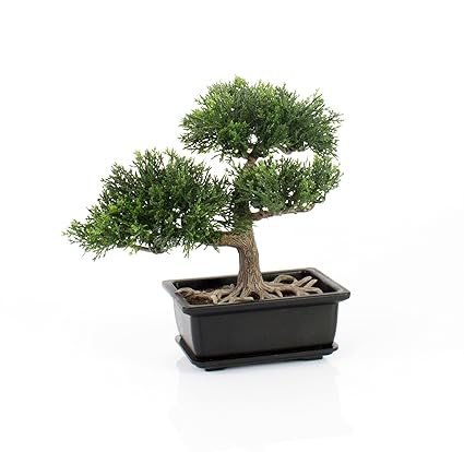 Künstlicher Bonsai Zeder im Töpfchen, ca. 23 cm - hochwertiger Kunstbonsai