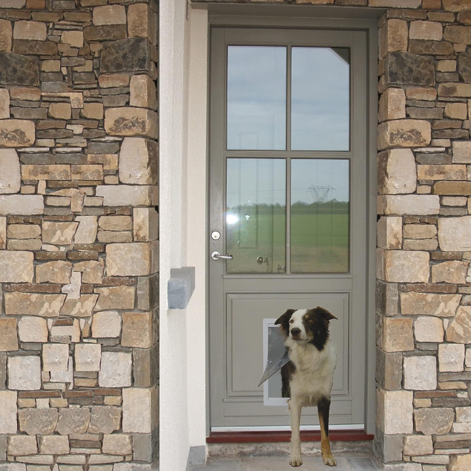 Ideal Pet Products Designer Series Plastic Pet Door with Telescoping Frame, Extra-Large, 10.5" x 15" Flap Size: Pet Supplies
