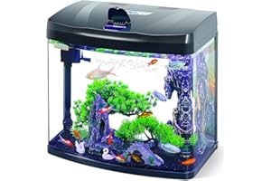 BLUECOCO 13 Gallon Glass Aquarium Starter Kit with Flip-Top Feeding Port for Betta Fish: Crystal Clear Viewing, Eco-Cycle Filtration, Air Pump, and LED Lighting