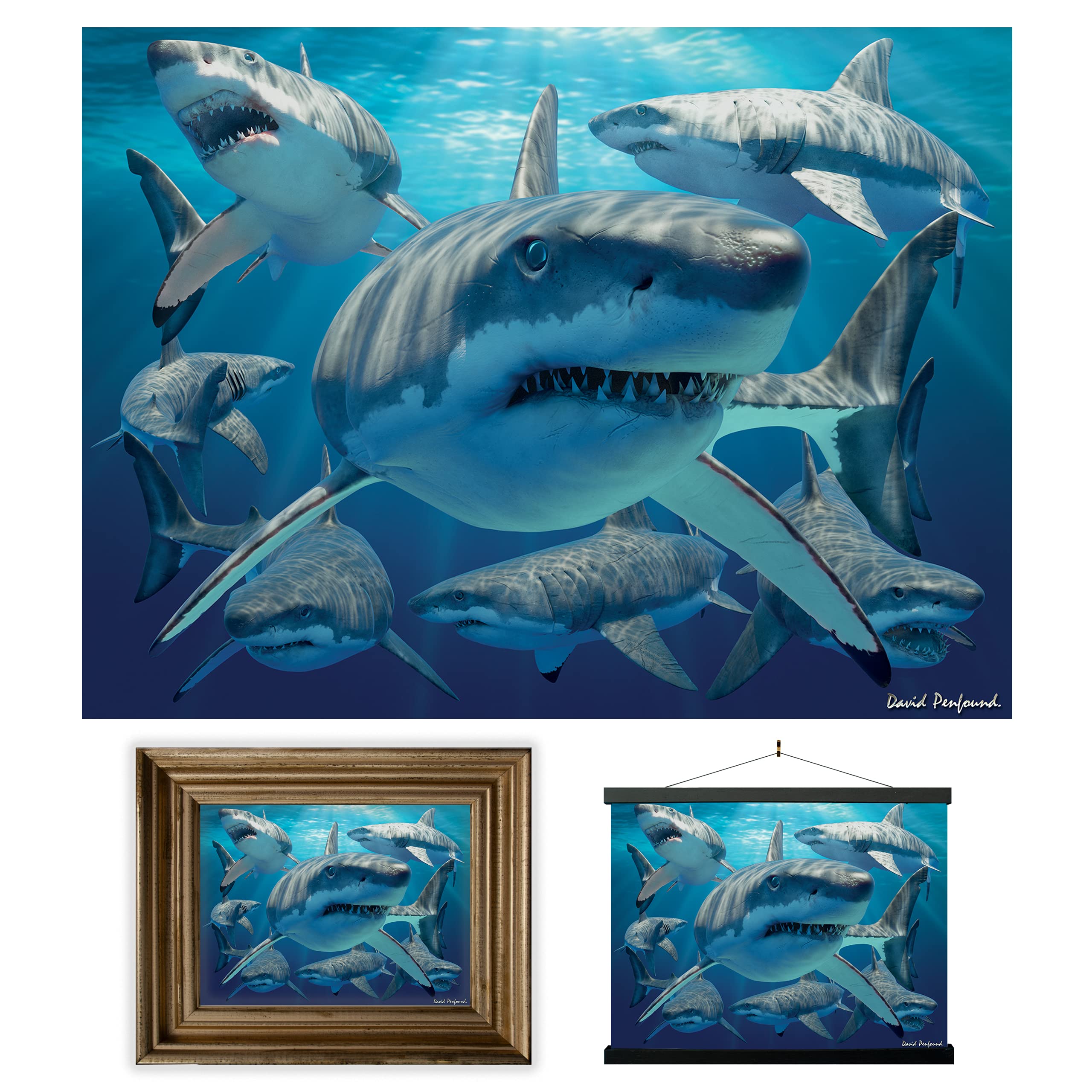 3D LiveLife Lenticular Wall Art Prints - Great White Shark from Deluxebase. Unframed 3D Ocean Poster. A perfect wall filler. Original artwork licensed from renowned artist, David Penfound