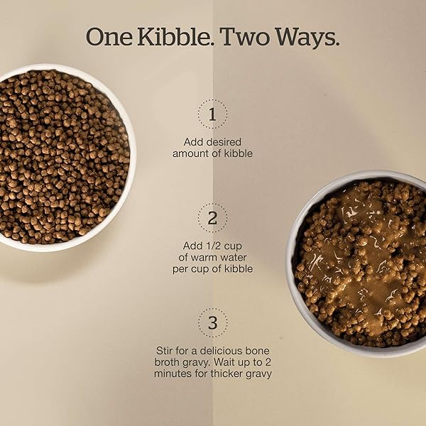 NOW FRESH GOOD GRAVY GRAIN-FREE DRY CAT FOOD WITH SALMON, HEALTHY KIBBLE FOR ADULTS & SENIORS COATED IN BONE BROTH – JUST ADD WATER TO MOISTEN, CHICKEN-FREE RECIPE FOR SENSITIVE STOMACHS, 8 LB BAG