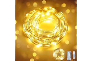 ZILOES Fairy Lights 40 FT 100 LED USB Twinkle String Lights Plug in Lights with Remote and Timer 8 Modes Waterproof Silver Wire for Bedroom Christmas Tree Indoor Outdoor Decoration