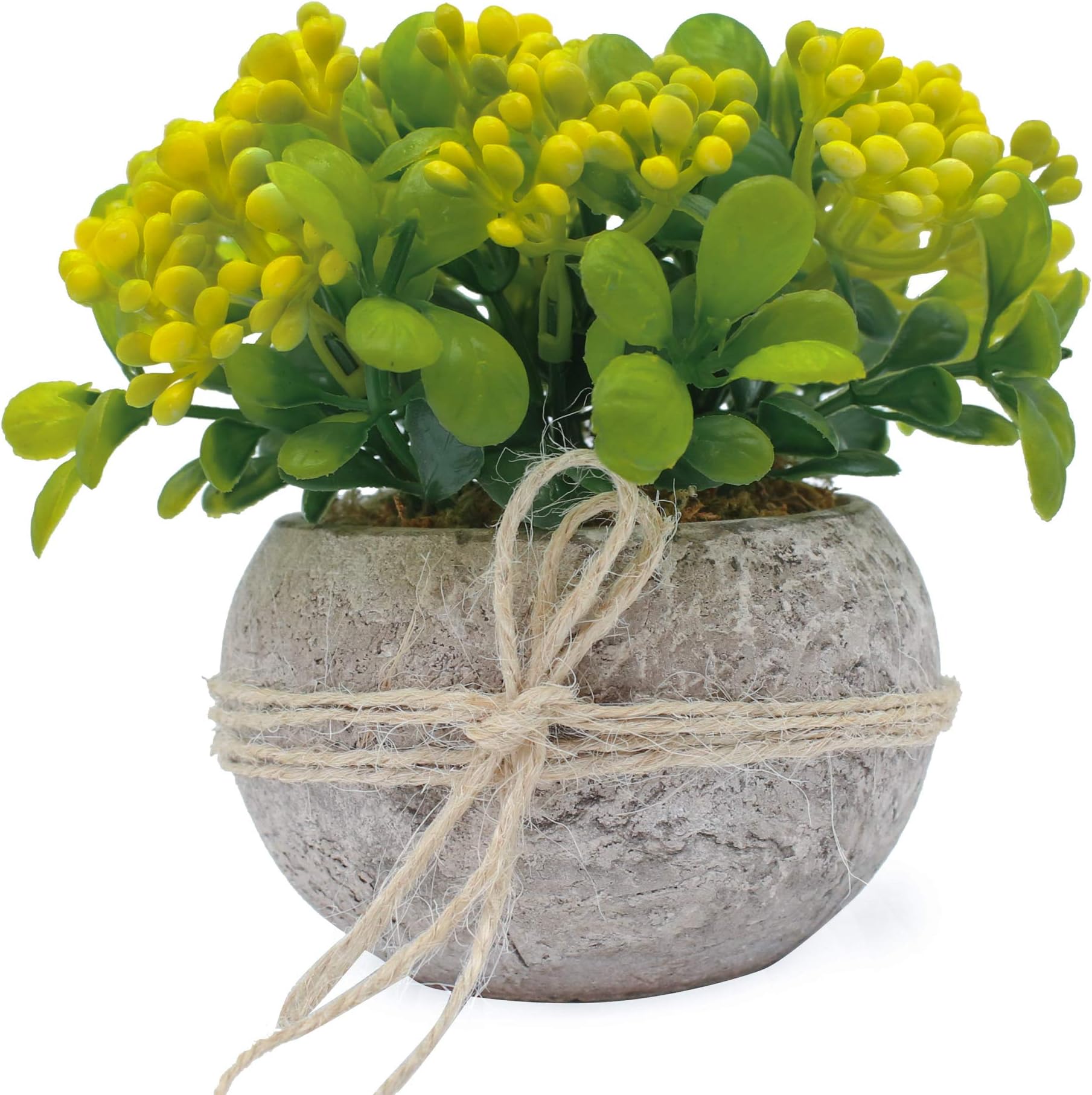 Ezra Decorative Plants Single Piece Artificial Potted Plants – Mini Plants Farmhouse Decorations – No Water, Low Maintenance – Highly Realistic Design – Ideal for Bathroom, Office, Home (Single)
