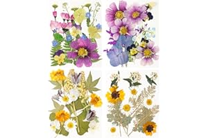 HOPELJ Dried Pressed Flowers, 81 Pcs Bulk Dried Flowers Dry Leaves for DIY Art Crafts, Epoxy Resin Jewelry Molds, Candle, Soap Making, Nails Décor, Gifts