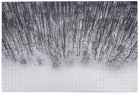 Amazon Co Jp 1000ピースパズル 空撮雪の上の冬の森 大人と子供のための絵パズルゲーム家族の結婚式の卒業ギフト ホーム キッチン