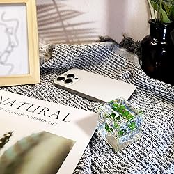 Bon Cube Real Four Leaf Clover Desk Accessory