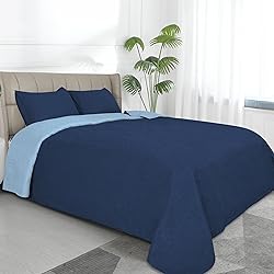 Easy-Going King Size Reversible Quilt Set with 1