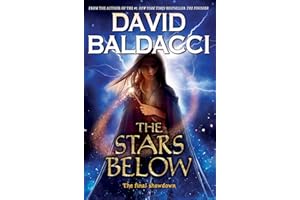 The Stars Below (Vega Jane, Book 4)