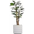 Vintage Home Artificial Faux Scindapsus Aureus and Banana Skin with Eco-Paper Planter with Eco Planter (VHX134211)