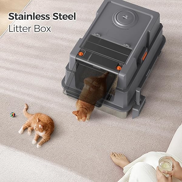 XXXL STAINLESS STEEL LITTER BOX WITH LID,28″ L X 20.5″ W X 16.5″ H EXTRA LARGE CAT LITTER BOX ENCLOSURE FOR LARGE AND MULTI-CATS FAMILIES,NON-STICKY, ANTI-LEAKAGE, EASY TO CLEAN(GRAY)