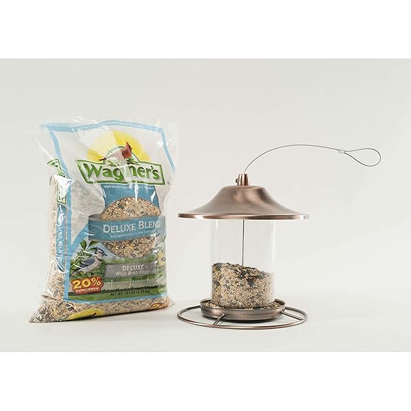 WAGNER’S 13008 DELUXE WILD BIRD FOOD, 10 LB BAG