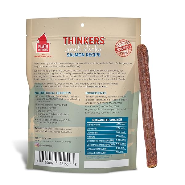PLATO THINKERS SALMON 18OZ
