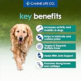 Canine Life Co Senior Enhanced Hip & Joint Support 120 Chewable Tablets UK view 5