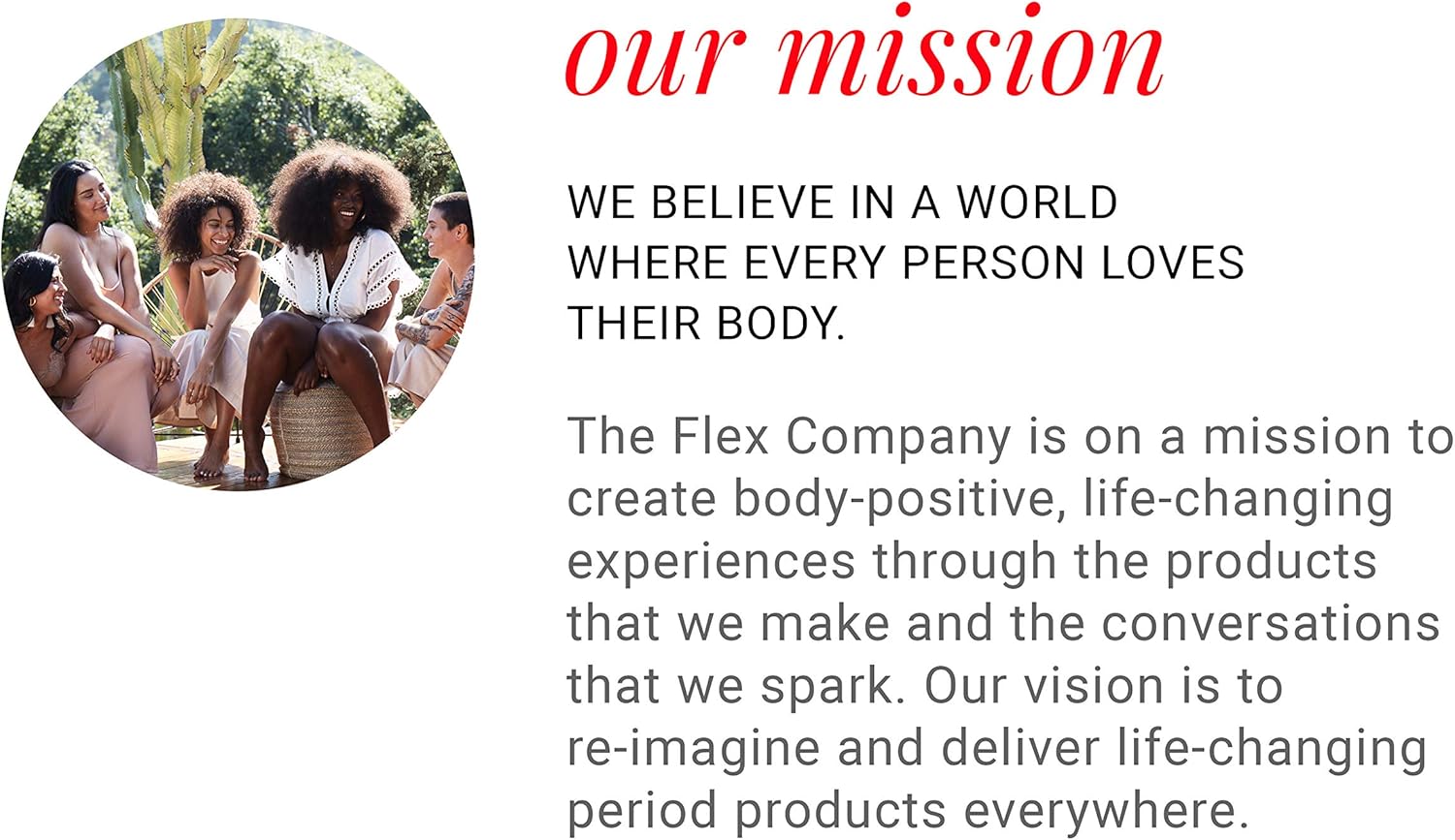 FLEX Menstrual Disc - Disposable Period Discs - Tampon, Pad, and Cup Alternative - 12 Count - Black: Health & Personal Care