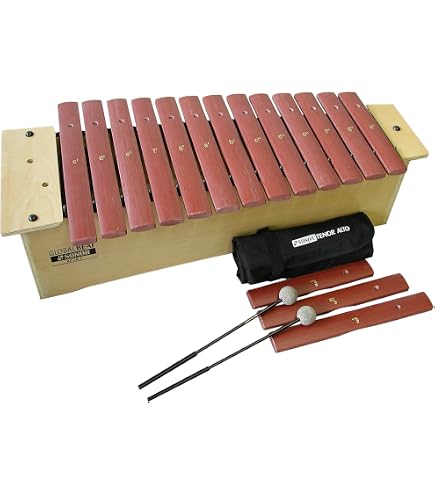 Amazon.com: Sonor Global Beat SX-GBF Fiberglass Soprano Xylophone
