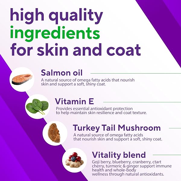 VITAFUSION FOR DOGS SKIN & COAT SUPPLEMENT, OMEGA 3 SALMON OIL & VITAMIN E – SUPPORTS HEALTHY SKIN, SHINY COAT & MOISTURE BALANCE, VET FORMULATED 120 CHEWS.