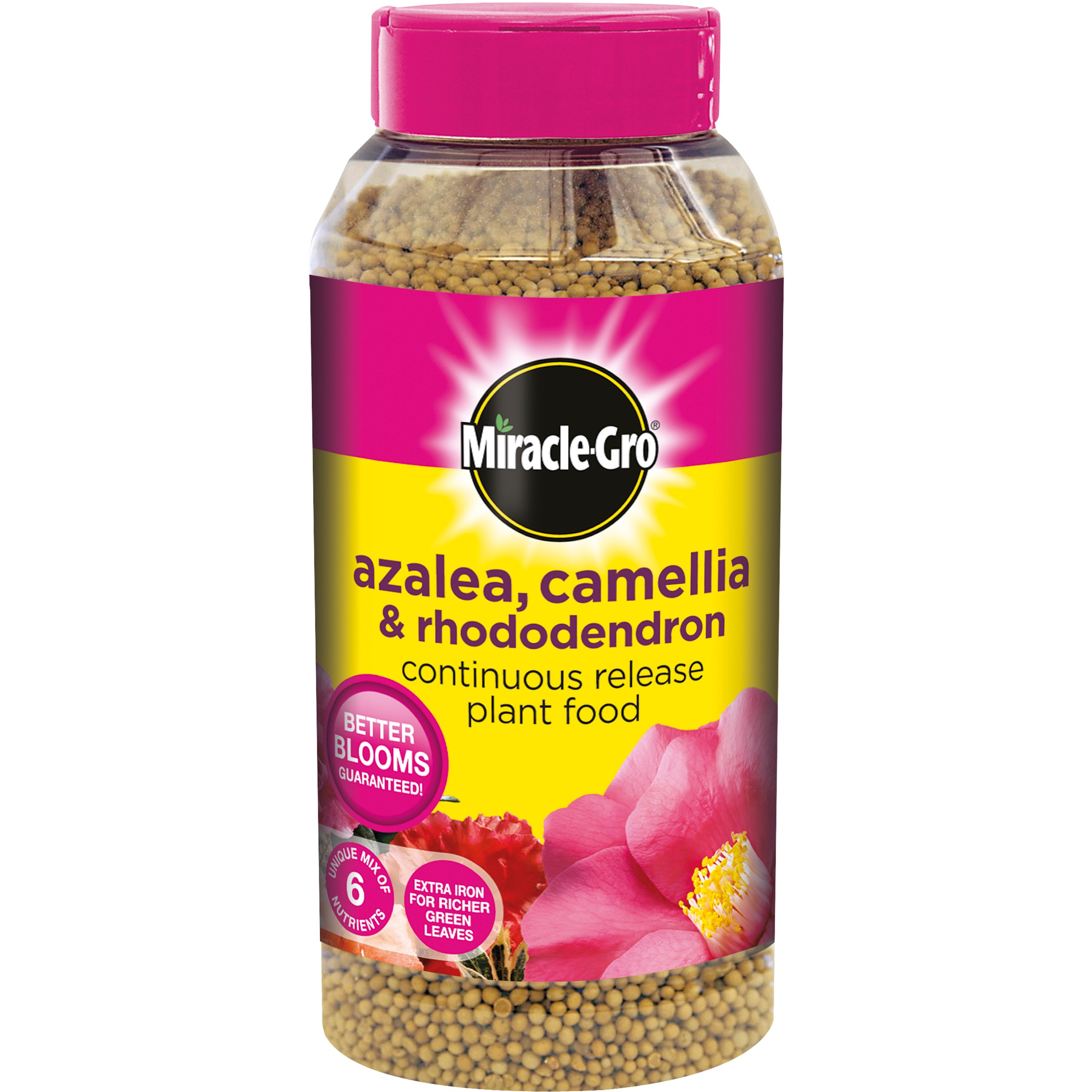 Miracle-Gro Azalea, Camellia and Rhododendron Continuous Release Plant Food, 1 kg