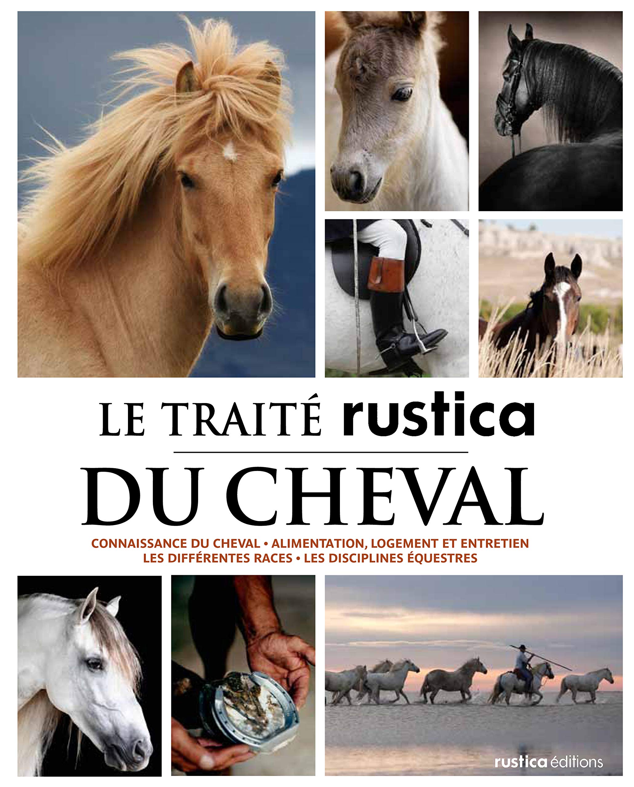 Traite Rustica Du Cheval Amazon Fr Pageat Patrick Collectif Livres
