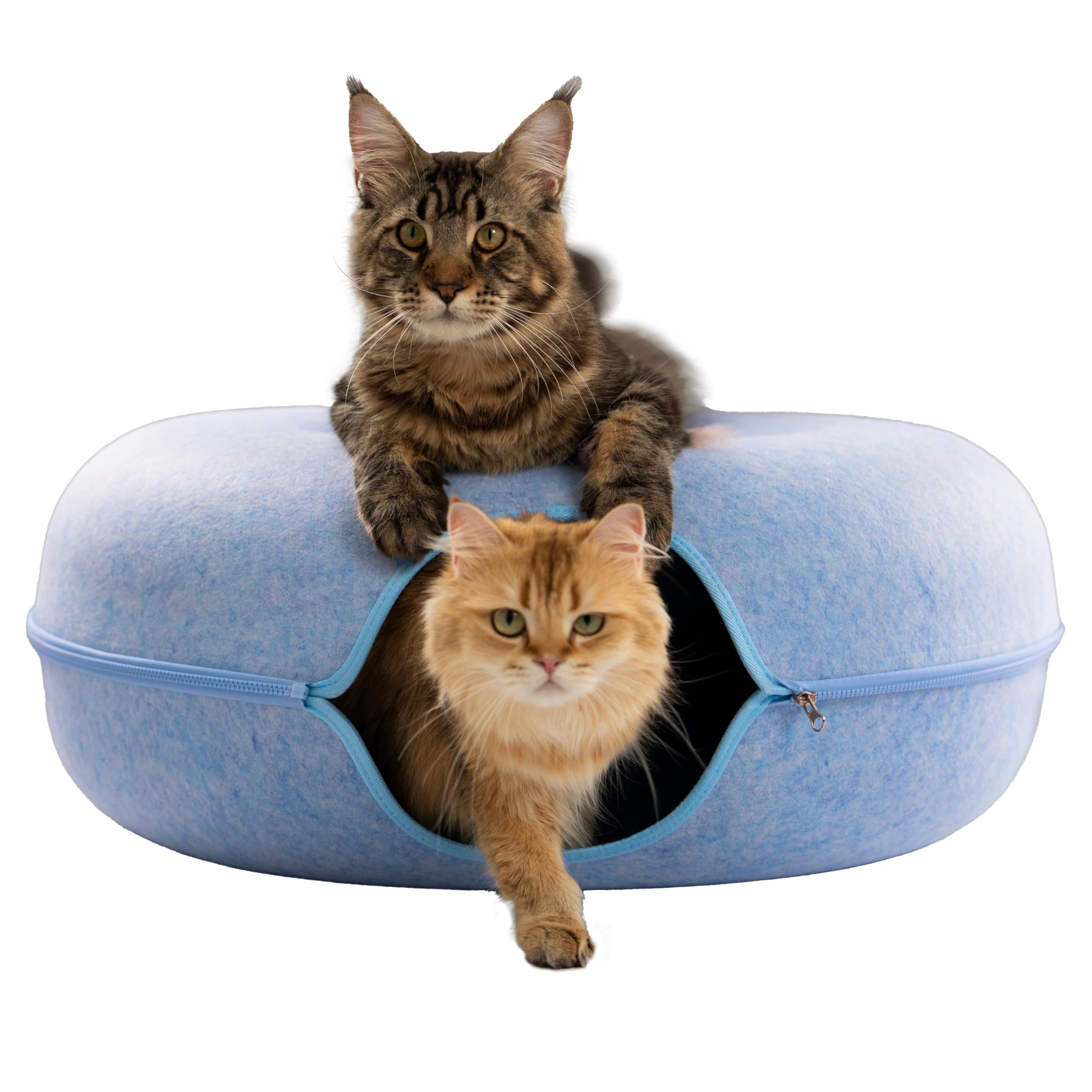 CATTASAURUS Peekaboo Cat Cave for Multiple & Large Cats Up to 30-45 Lbs, Scratch Detachable & Washable Tunnel Bed, Comfy Donut Cat Cave (Blue, Jumbo) Image