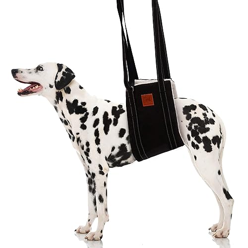 Dog Harness Dog Hip Brace Amazon Amazon Dog Support Harness Rear
