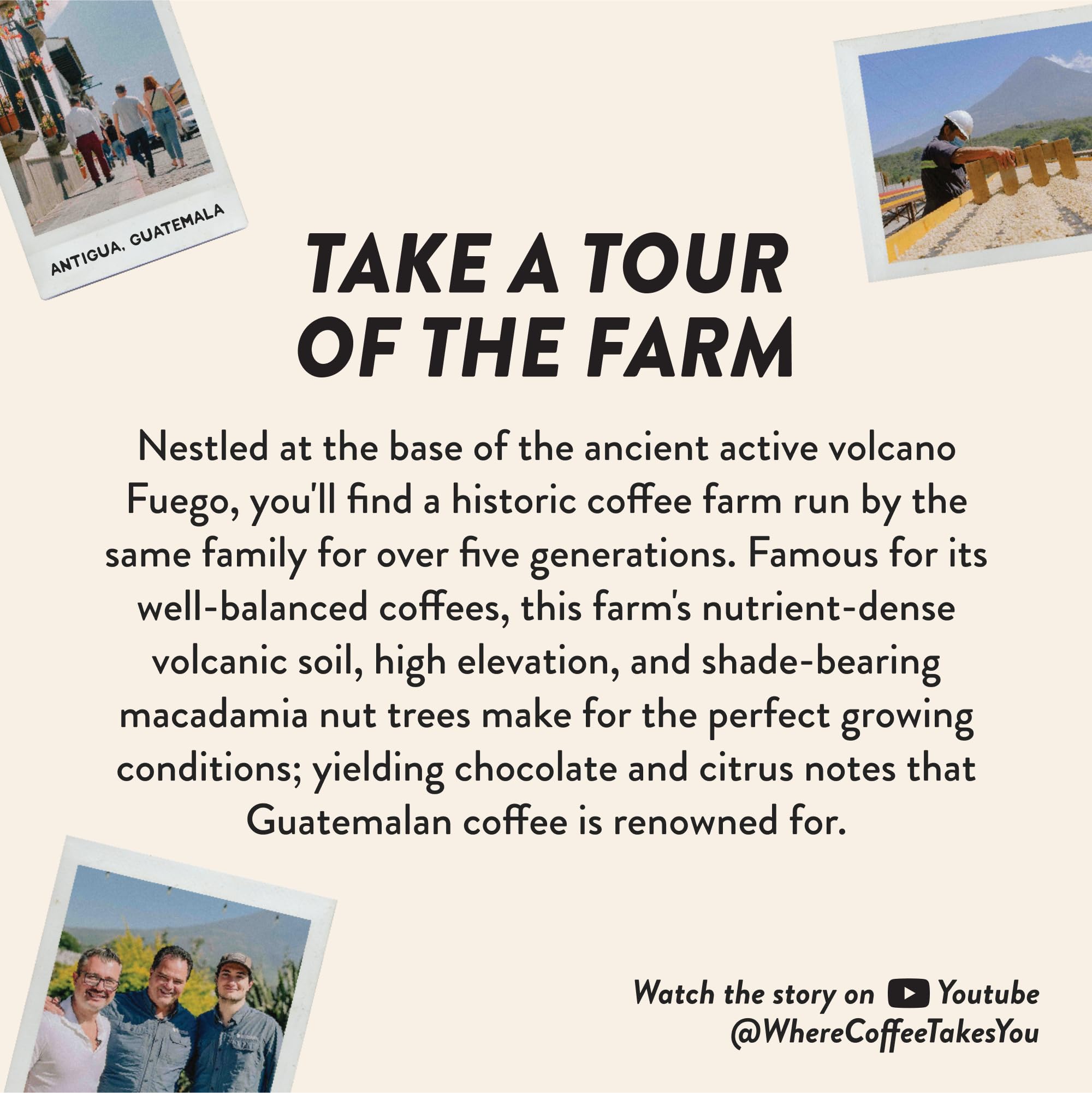 Angelino's Coffee Breakfast in Antigua Coffee Pods - Breakfast Blend Coffee K Cups Compatible, Medium Roast Coffee, Reserve, Chocolate & Caramel Notes, Citrus Hints, Guatemala Origin, 24 Count - Premium Breakfast Blend Coffee for Keurig Machines