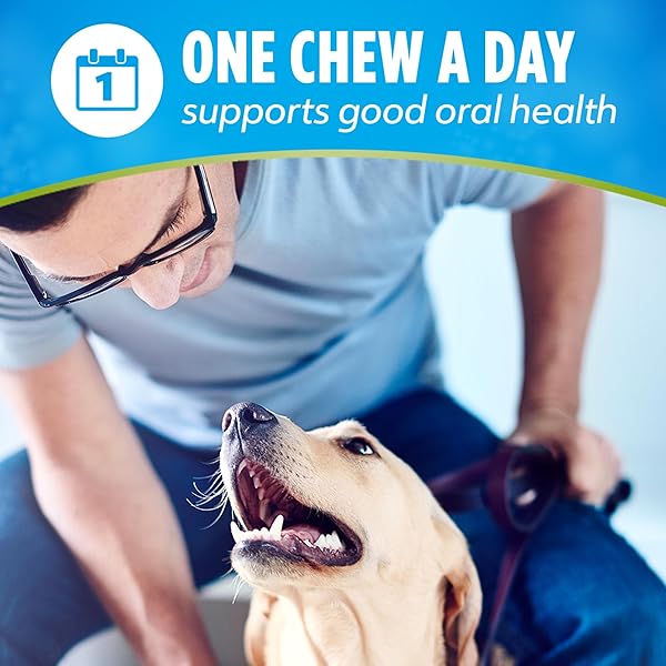 DENTALIFE ACTIVFRESH PACK OF 3 DOG CHEWS FOR SMALL AND MEDIUM DOGS 20-40 LBS., DENTAL CHEWS TO FRESHEN BREATH, CHICKEN FLAVOR, 22.5 OZ. EACH, 30 CHEWS EACH/90 TOTAL CHEWS – 30 CT. POUCH