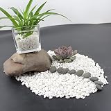 JeeMooTown 1.8KG White Decorative Stones 6-9mm for Plants Fish Tank view 4
