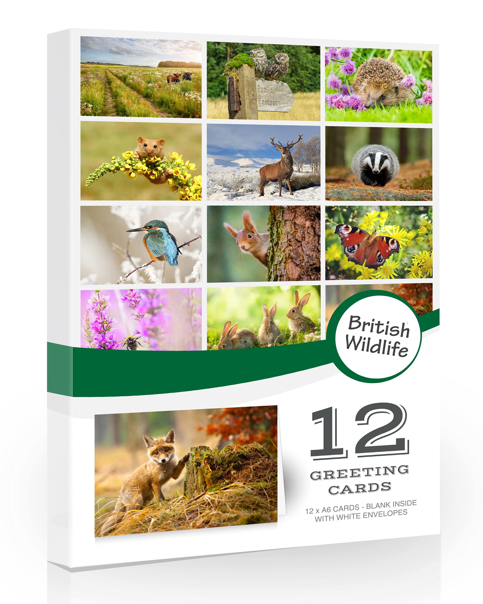 12 x British Wildlife Folding Greeting Cards with Envelopes. Blank inside for all occasions