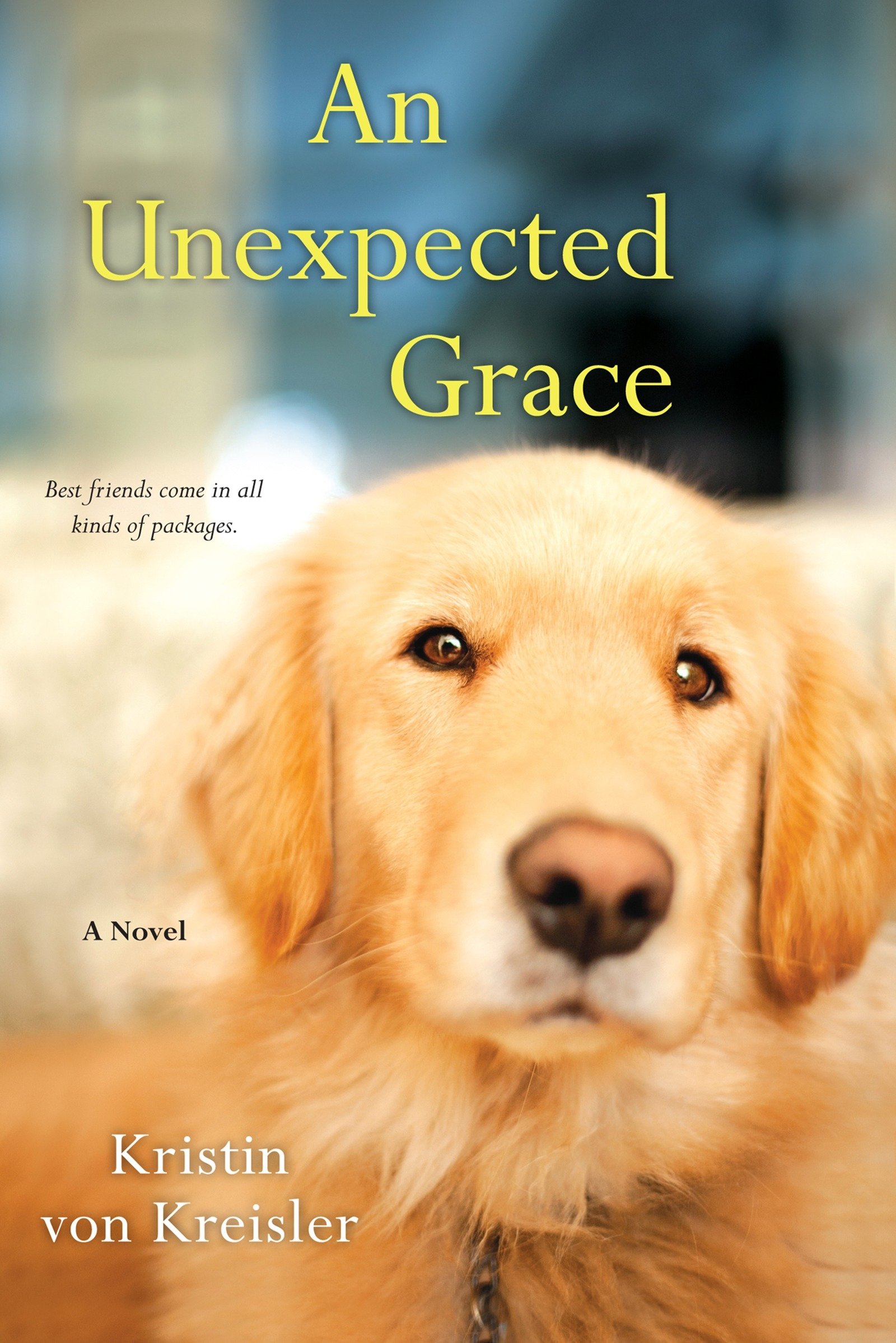 grace golden retriever rescue