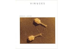 Viruses