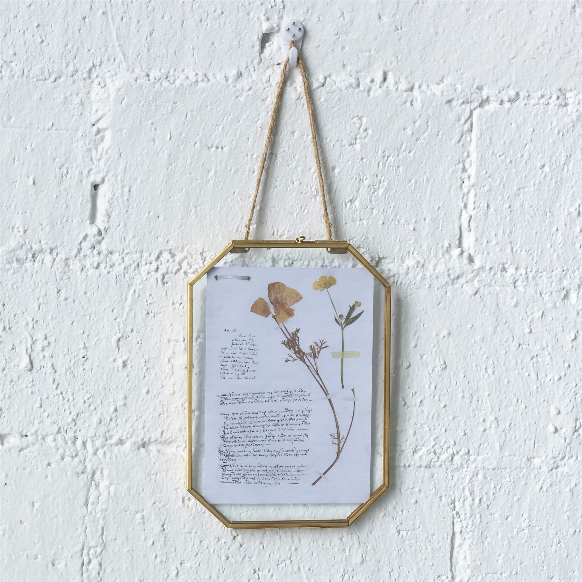 Wall Hanging 5X7 inches Long Octagon Herbarium Brass Glass Frame for Pressed Flowers, Dried Flowers, Poster, Double Glass, Floating Frame Style