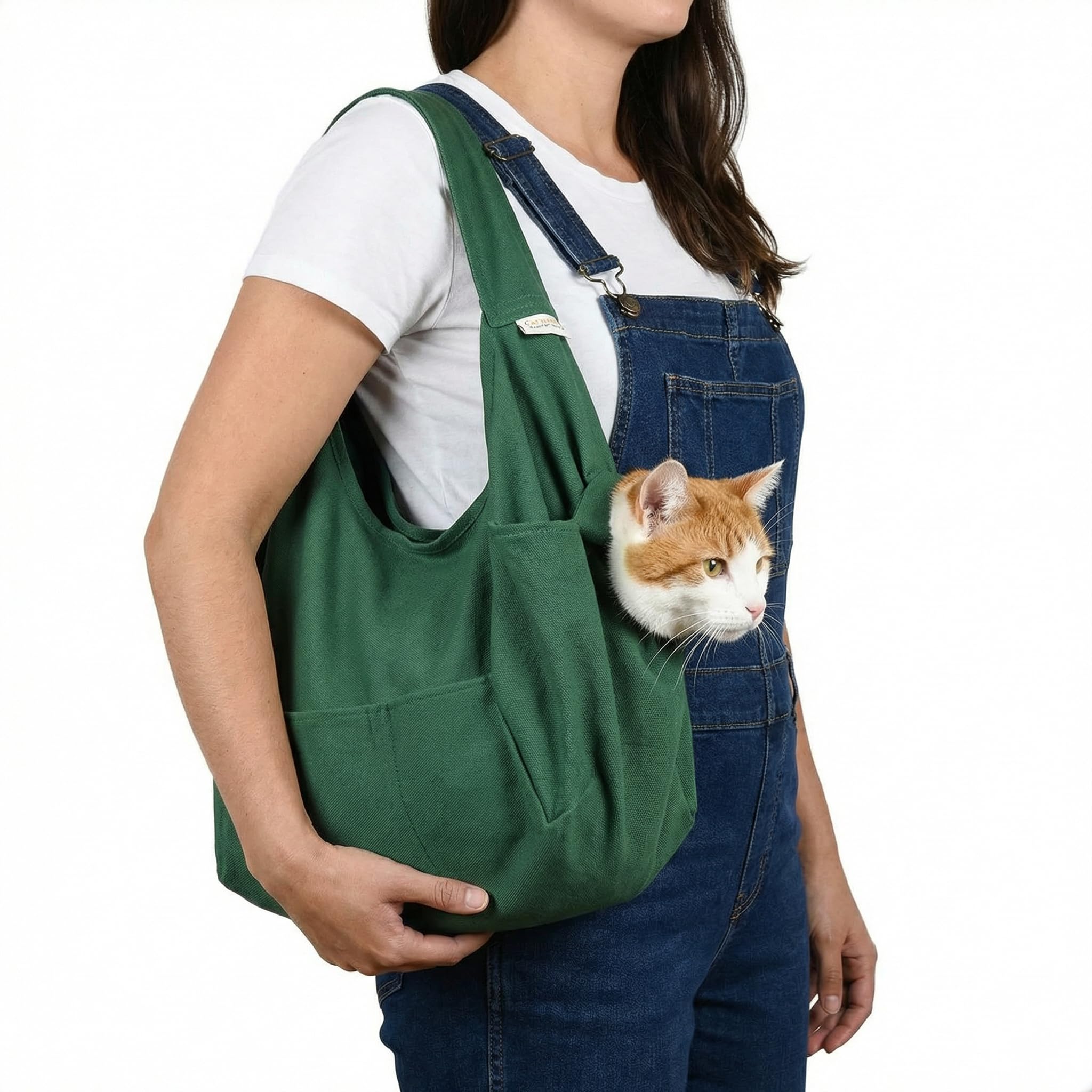 Cozy Comfort Carrier (Large (10 lbs. and up), Green)