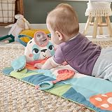 Fisher-Price Planet Friends Roly-Poly Panda Play Mat 3-in-1 Tummy Time view 4
