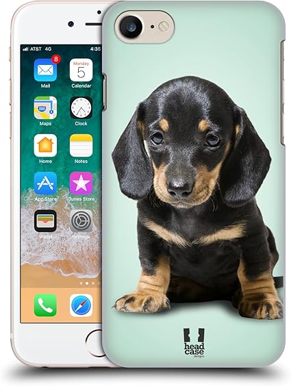 Head Case Designs Cucciolo Di Bassotto Seduto Razze Famose Di Cani Cover Dura Per Parte Posteriore Compatibile Con Apple Iphone 7 Iphone 8 Iphone Se 2020 Amazon It Elettronica