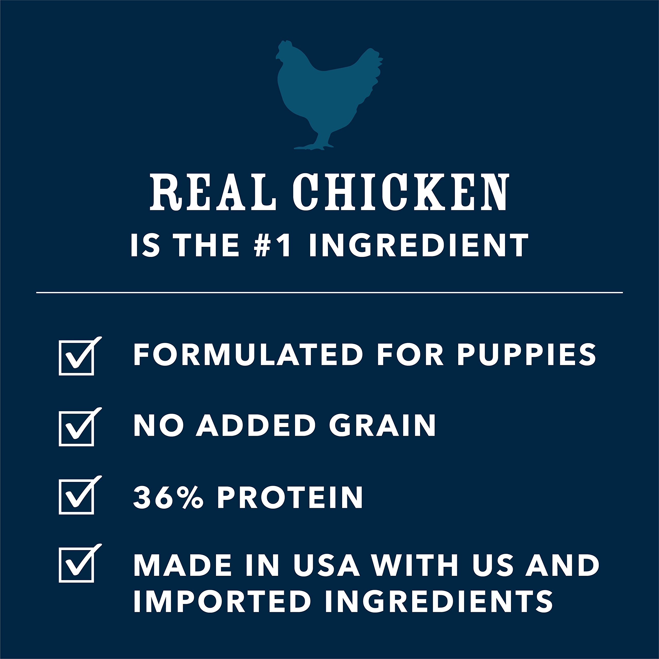 Wag Amazon Brand Dry Dog Food