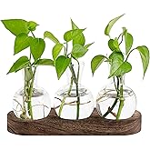 Mkono Desktop Plant Propagation Station Glass Planter Terrarium with Wooden Tray Bulb Flower Vase Perfect for Propagating Hydroponic Plants Home Office Decor Plant Lover Gift Idea