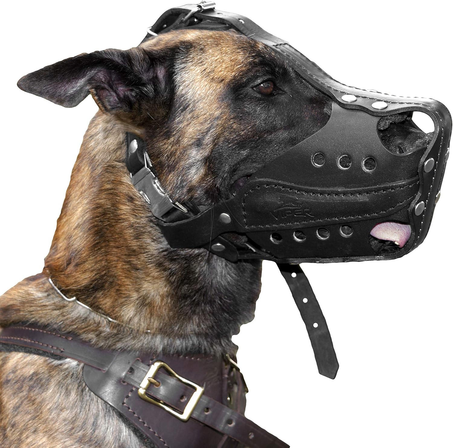 quick release dog muzzle