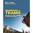 Working in Teams: Moving From High Potential to High Performance
