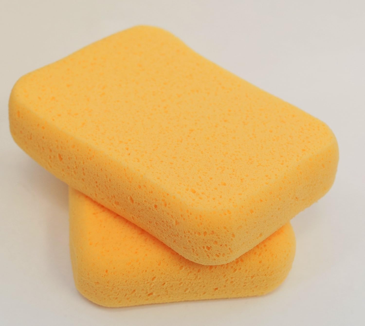 sponge