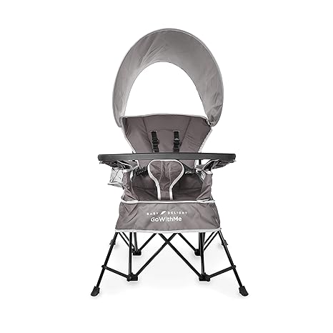 baby delight go with me chair