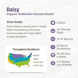 Back to the Roots 100% Organic Seed Packet - Daisy