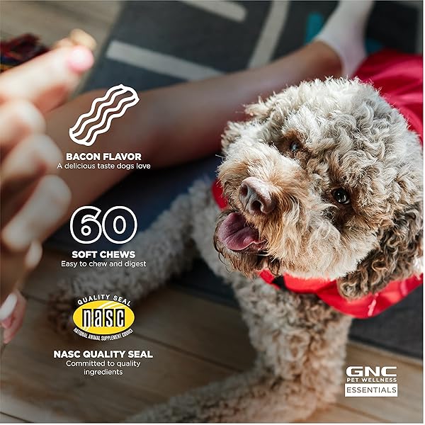 GNC PETS ESSENTIALS DOG PROBIOTIC SOFT CHEWS FOR DIGESTIVE SUPPORT, BACON FLAVOR DAILY SUPPLEMENT WITH PREBIOTICS, PROBIOTICS AND ENZYMES FOR PUPPIES AND ADULT DOGS IN REUSABLE JAR, 60 COUNT