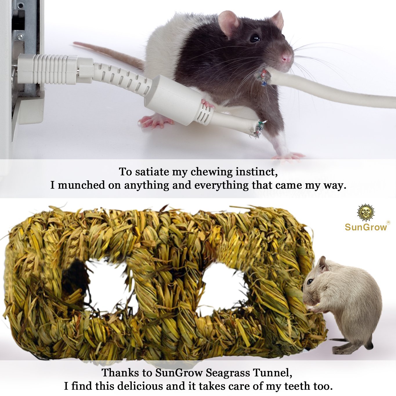 Hand-woven Seagrass Tunnel Toy --- Small Animal Activity Center from SunGrow - Pet-safe, all natural grass tunnel house - Perfect for Rabbits, Gerbils, Hamsters and Chinchillas