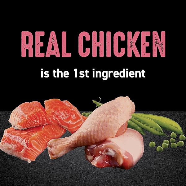 CRAVE GRAIN FREE INDOOR ADULT HIGH PROTEIN NATURAL DRY CAT FOOD WITH PROTEIN FROM CHICKEN & SALMON, 10 LB. BAG