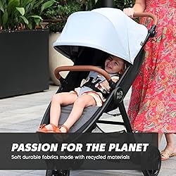 Baby Jogger City Mini GT2 Single Stroller