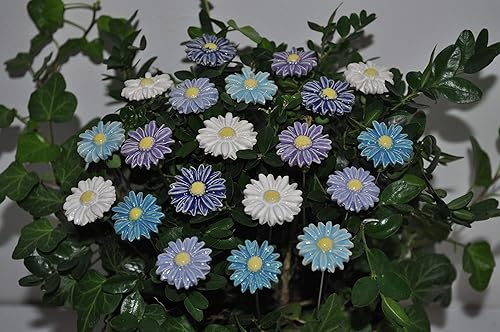 20 Keramikblumen: Gänseblümchen