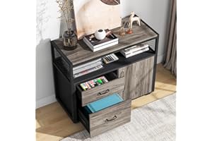 Tribesigns Modern File Cabinet with Drawers for Letter-Sized File and Door, Lockable lateral Filing Cabinet Printer Stand with Storage Shelves and with Rolling Caster for Home Office (Gray)