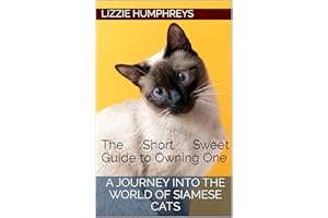 A Journey into the World of Siamese Cats: The Short Sweet Guide to Owning One