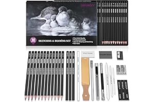 HIFORNY 30 PCS Sketching Drawing Pencil Set,Sketch Pencils Art Supplies with Graphite,Charcoal,Blending Tools,Accessories,Dra
